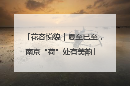 花容悦貌｜夏至已至，南京“荷”处有美韵