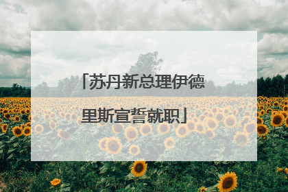 苏丹新总理伊德里斯宣誓就职