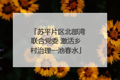 苏平片区北部湾联合党委 激活乡村治理一池春水
