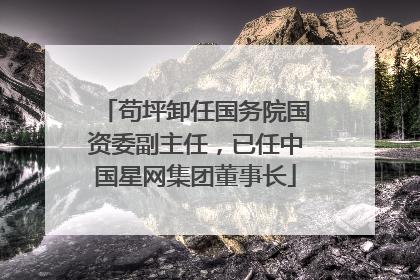 苟坪卸任国务院国资委副主任，已任中国星网集团董事长