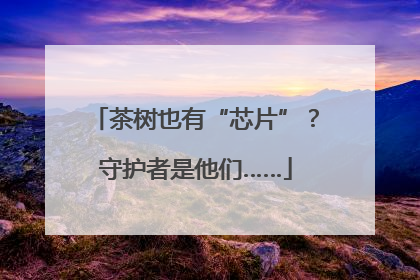 茶树也有“芯片”？守护者是他们……