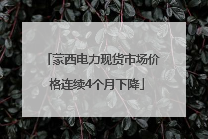 蒙西电力现货市场价格连续4个月下降
