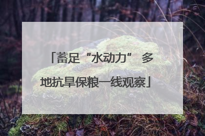 蓄足“水动力” 多地抗旱保粮一线观察