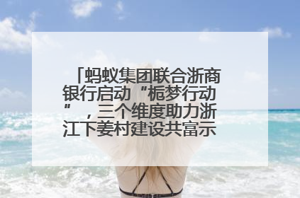 蚂蚁集团联合浙商银行启动“栀梦行动”，三个维度助力浙江下姜村建设共富示范区示范点