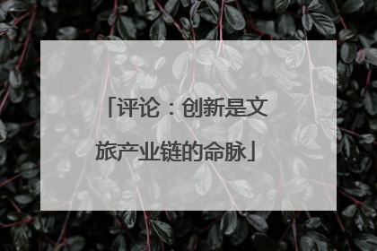 评论：创新是文旅产业链的命脉