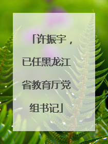 许振宇，已任黑龙江省教育厅党组书记