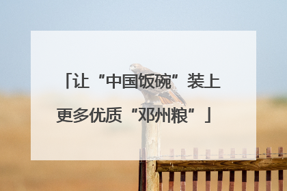 让“中国饭碗”装上更多优质“邓州粮”