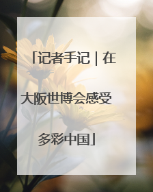 记者手记｜在大阪世博会感受多彩中国