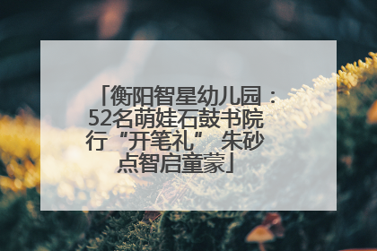衡阳智星幼儿园：52名萌娃石鼓书院行“开笔礼” 朱砂点智启童蒙