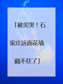 被美哭！石家庄这面花墙藏不住了