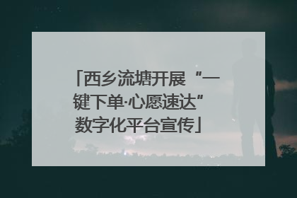 西乡流塘开展“一键下单·心愿速达”数字化平台宣传