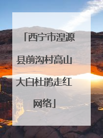 西宁市湟源县前沟村高山大白杜鹃走红网络