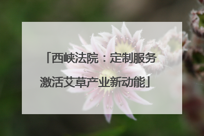 西峡法院：定制服务激活艾草产业新动能