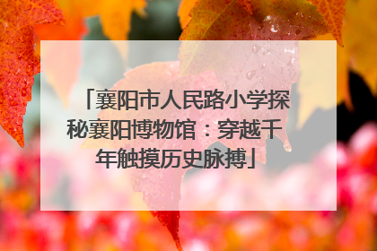 襄阳市人民路小学探秘襄阳博物馆：穿越千年触摸历史脉搏