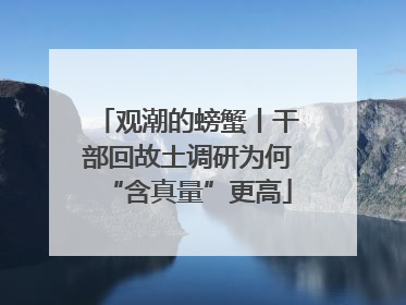 观潮的螃蟹丨干部回故土调研为何“含真量”更高