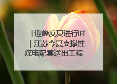 迎峰度夏进行时｜江苏今夏支撑性煤电配套送出工程全部投运