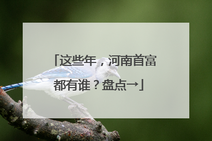 这些年，河南首富都有谁？盘点→