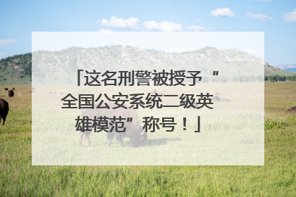 这名刑警被授予“全国公安系统二级英雄模范”称号！