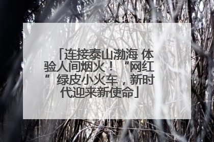 连接泰山渤海 体验人间烟火！“网红”绿皮小火车，新时代迎来新使命