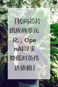 转向芯片供应商多元化，OpenAI寻求降低对英伟达依赖