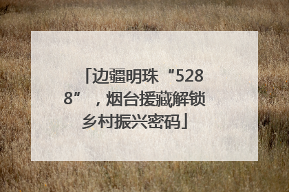 边疆明珠“5288”，烟台援藏解锁乡村振兴密码
