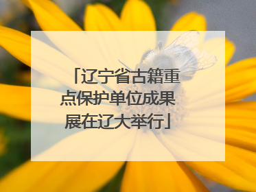 辽宁省古籍重点保护单位成果展在辽大举行
