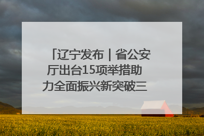 辽宁发布｜省公安厅出台15项举措助力全面振兴新突破三年行动决胜之战