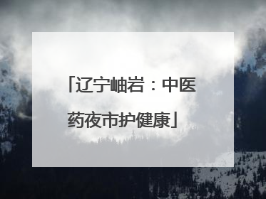 辽宁岫岩：中医药夜市护健康