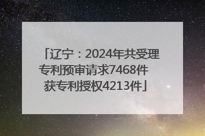 辽宁：2024年共受理专利预审请求7468件 获专利授权4213件