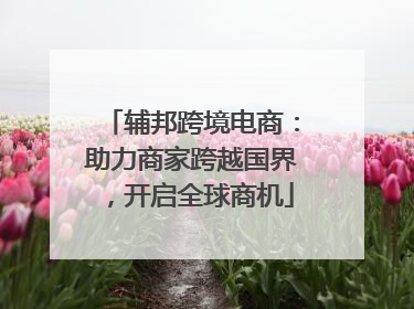辅邦跨境电商：助力商家跨越国界，开启全球商机