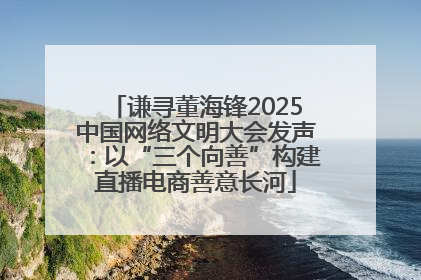 谦寻董海锋2025中国网络文明大会发声：以“三个向善”构建直播电商善意长河