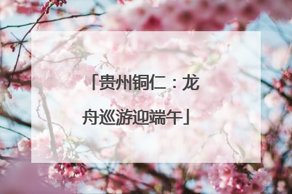 贵州铜仁：龙舟巡游迎端午