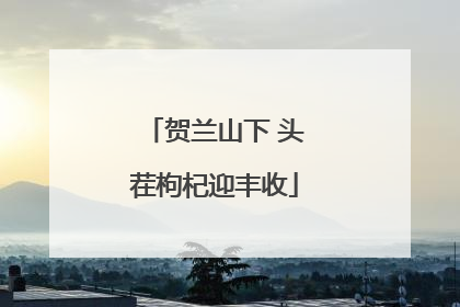 贺兰山下 头茬枸杞迎丰收