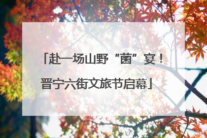 赴一场山野“菌”宴！晋宁六街文旅节启幕