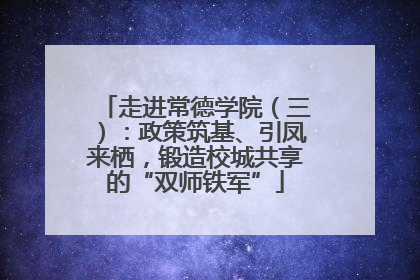 走进常德学院（三）：政策筑基、引凤来栖，锻造校城共享的“双师铁军”
