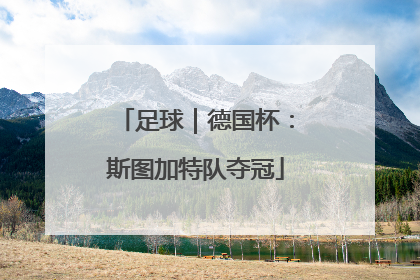 足球｜德国杯：斯图加特队夺冠