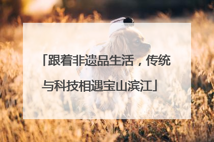 跟着非遗品生活，传统与科技相遇宝山滨江