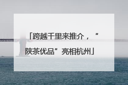 跨越千里来推介，“陕茶优品”亮相杭州