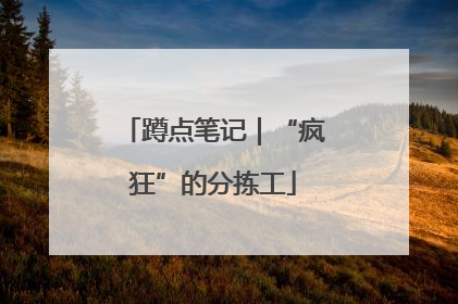 蹲点笔记｜“疯狂”的分拣工