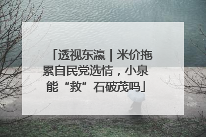 透视东瀛｜米价拖累自民党选情，小泉能“救”石破茂吗