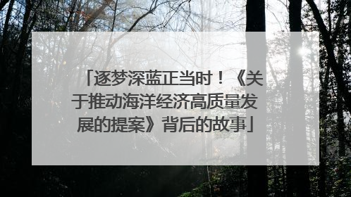 逐梦深蓝正当时！《关于推动海洋经济高质量发展的提案》背后的故事