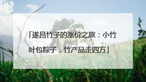 遂昌竹子的涨价之旅：小竹叶包粽子，竹产品走四方