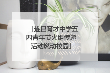 遂昌育才中学五四青年节火炬传递活动燃动校园