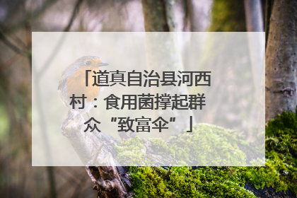 道真自治县河西村：食用菌撑起群众“致富伞”