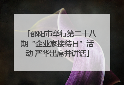 邵阳市举行第二十八期“企业家接待日”活动 严华出席并讲话