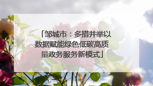邹城市：多措并举以数据赋能绿色低碳高质量政务服务新模式