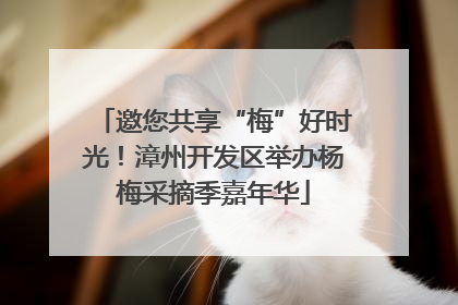 邀您共享“梅”好时光！漳州开发区举办杨梅采摘季嘉年华
