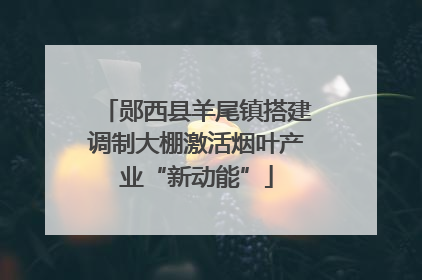 郧西县羊尾镇搭建调制大棚激活烟叶产业“新动能”