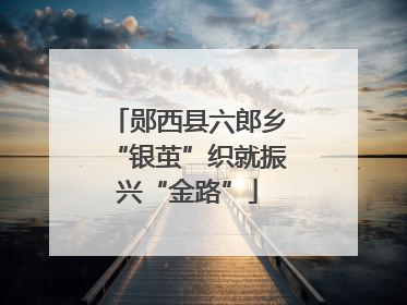 郧西县六郎乡“银茧”织就振兴“金路”