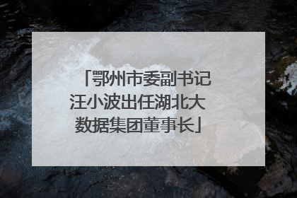 鄂州市委副书记汪小波出任湖北大数据集团董事长